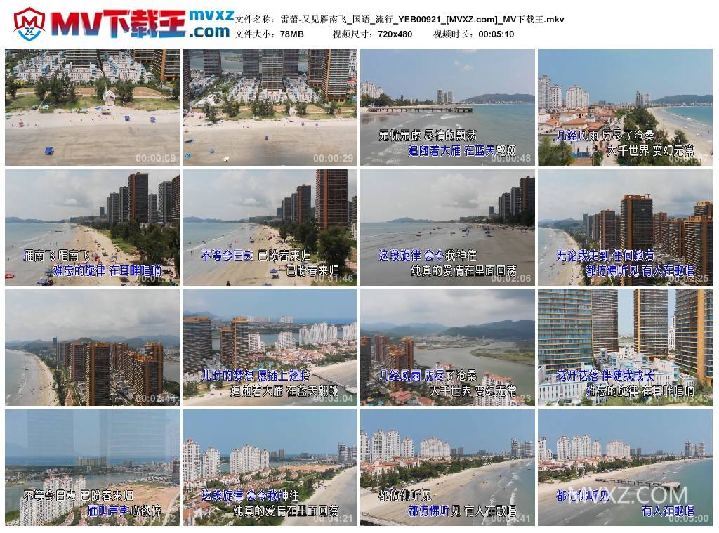 雷蕾-又见雁南飞_国语_流行_YEB00921